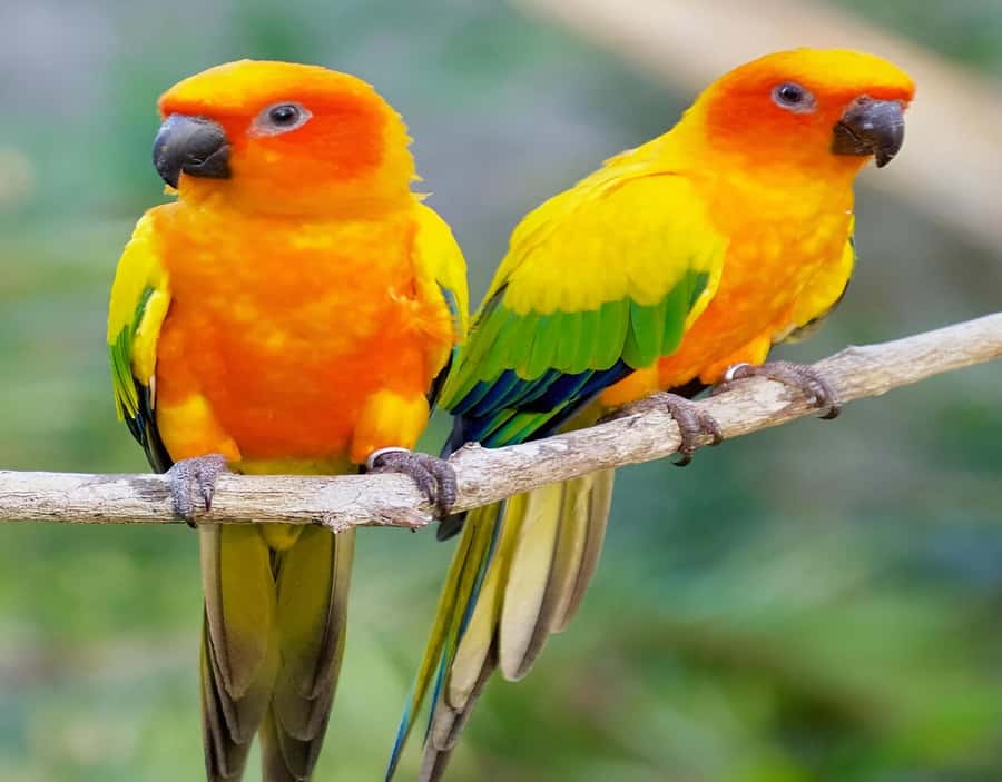 Cartagena: Daytour Aviary and Playa blanca, Barú by bus! - Price check: is $47 really good value?