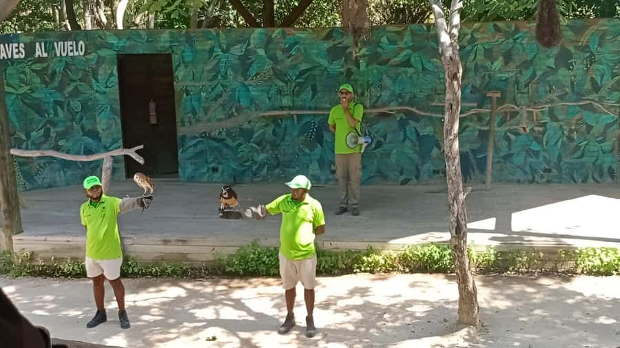 Cartagena: Daytour Aviary and Playa blanca, Barú by bus! - Getting there from Cartagena: pickup zones and realistic timing
