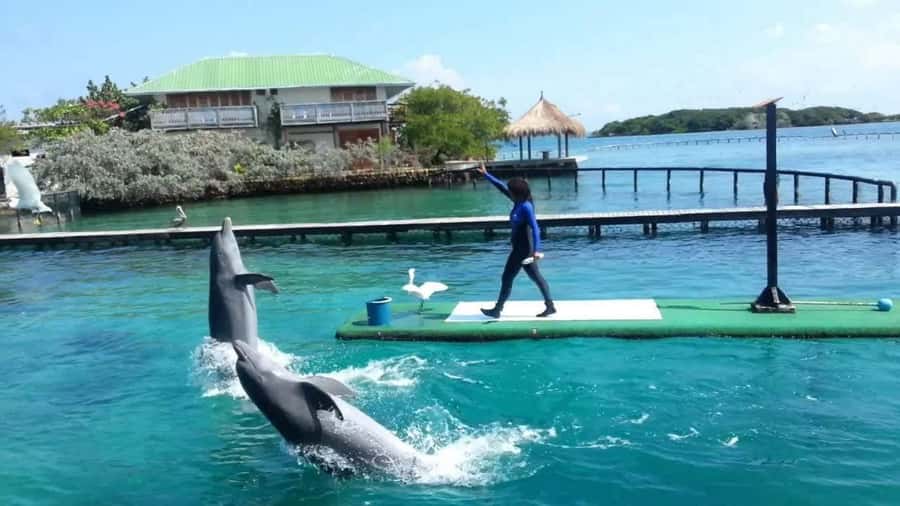 Cartagena de Indias: Pasadia 5 Islas del rosario and Baru boat trip - Rosario Islands: first water time, hiking, and a food-focused stop