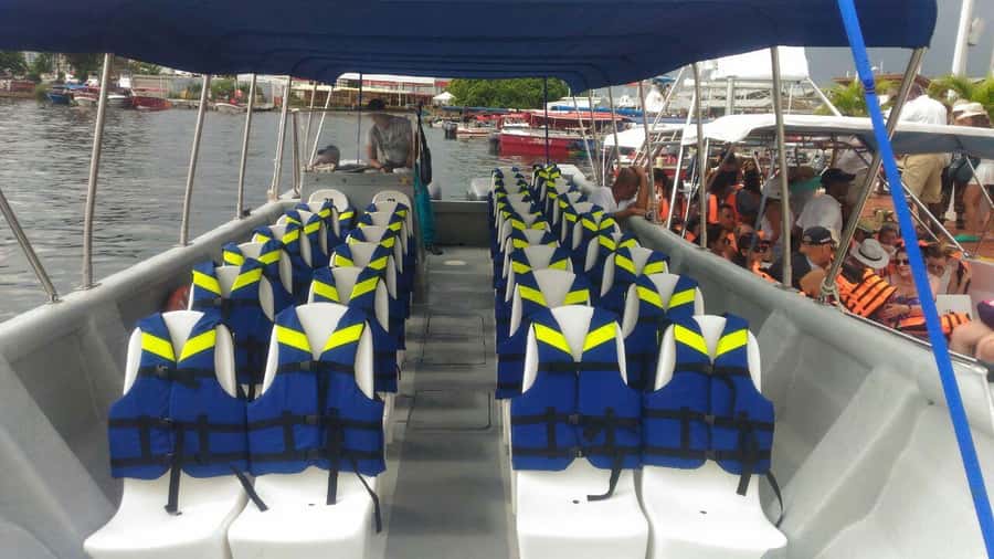 Cartagena de Indias: Pasadia 5 Islas del rosario and Baru boat trip - Snorkeling or oceanarium-style visit: what you should clarify before you pay