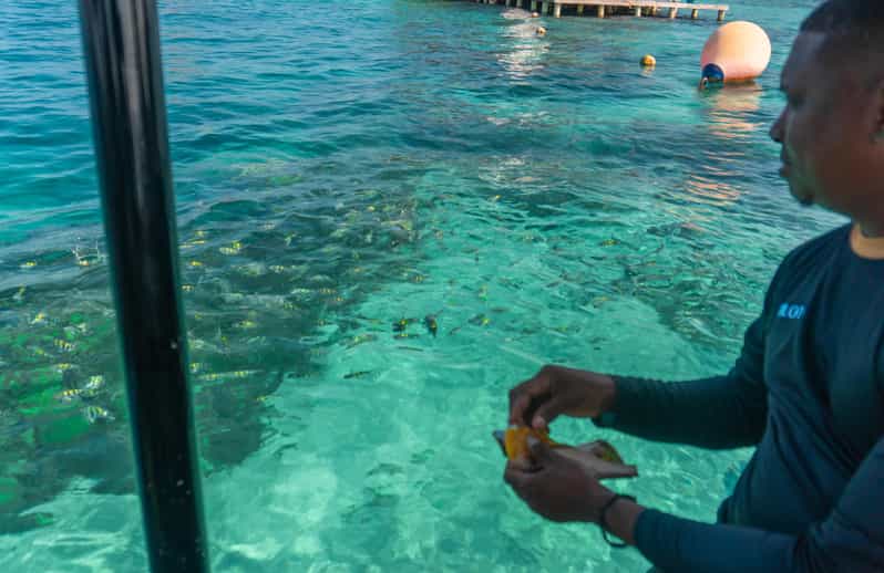 Cartagena: Ecoplan on Barú, Aviary and Oceanarium in one day - Key things I’d plan around