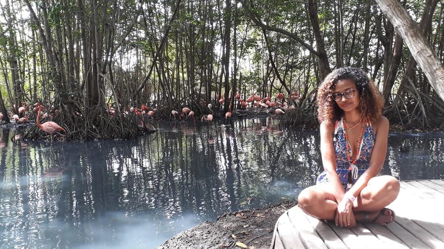 Cartagena: Ecoplan on Barú, Aviary and Oceanarium in one day - Should You Book Ecoplan on Barú?
