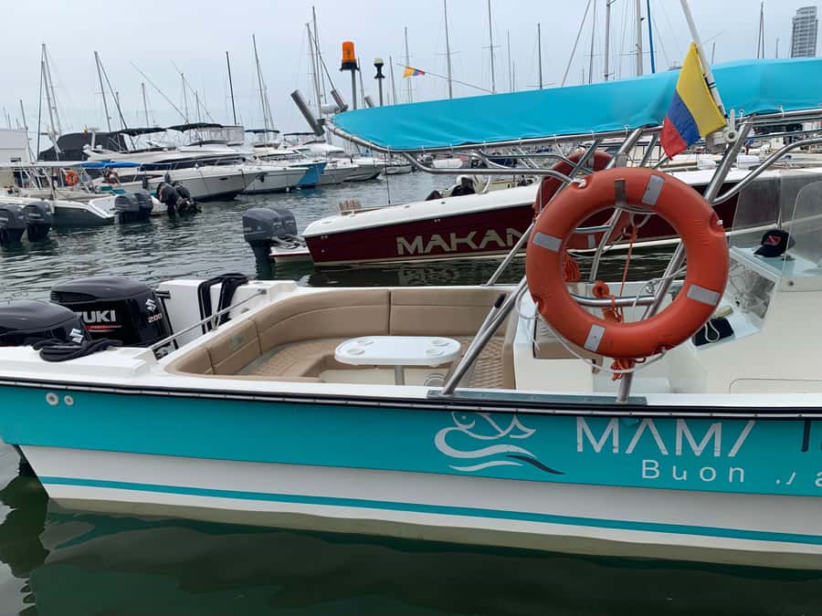CARTAGENA, EXCLUSIVE launch for Rosario and Baru Islands - Aquarium add-on: dolphin and shark shows with paid tickets