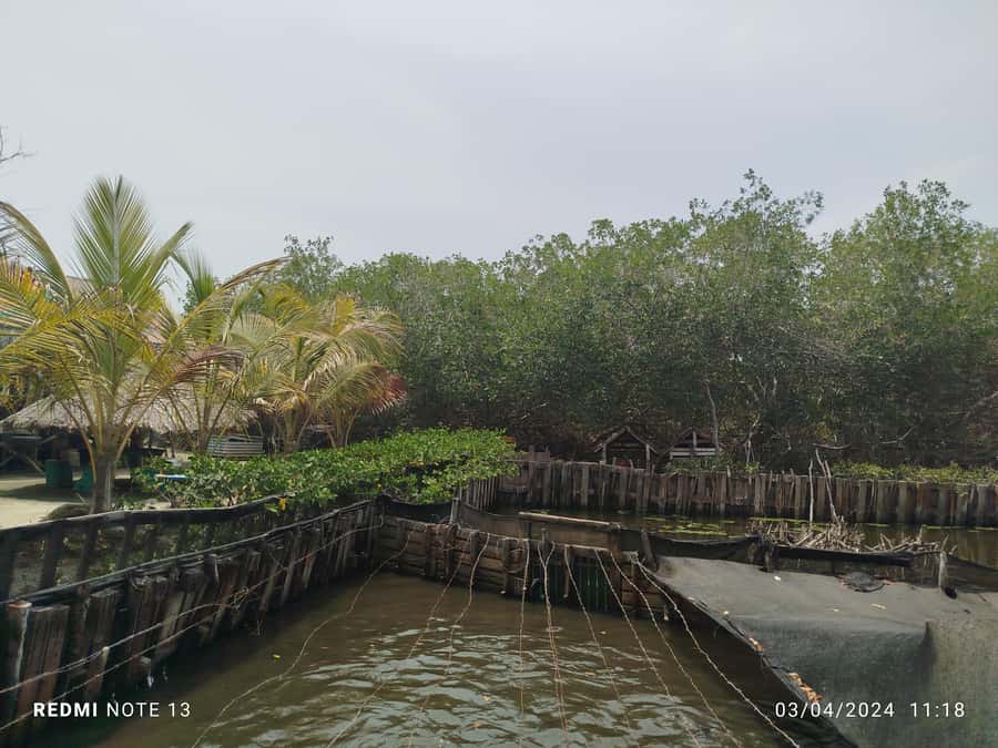 Cartagena: FISHERMEN'S ISLAND IN THE MANGROVES by canoe - Where the tour starts in La Boquilla and how pickup works