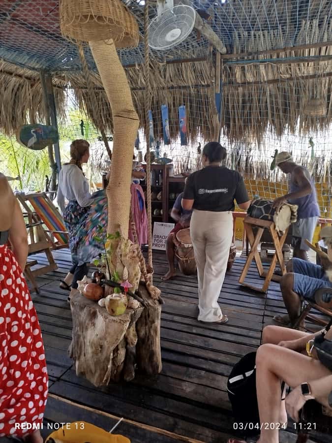 Cartagena: FISHERMEN'S ISLAND IN THE MANGROVES by canoe - Three mangrove tunnels: wildlife, bird song, and mangrove life