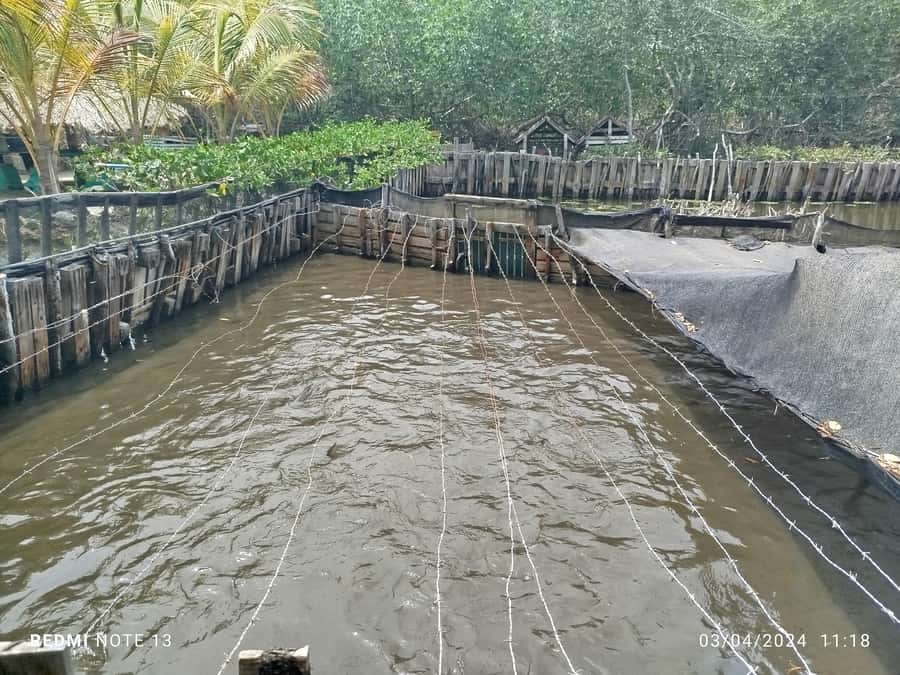 Cartagena: FISHERMEN'S ISLAND IN THE MANGROVES by canoe - Small gotchas: timing confusion, WhatsApp coordination, and boat comfort
