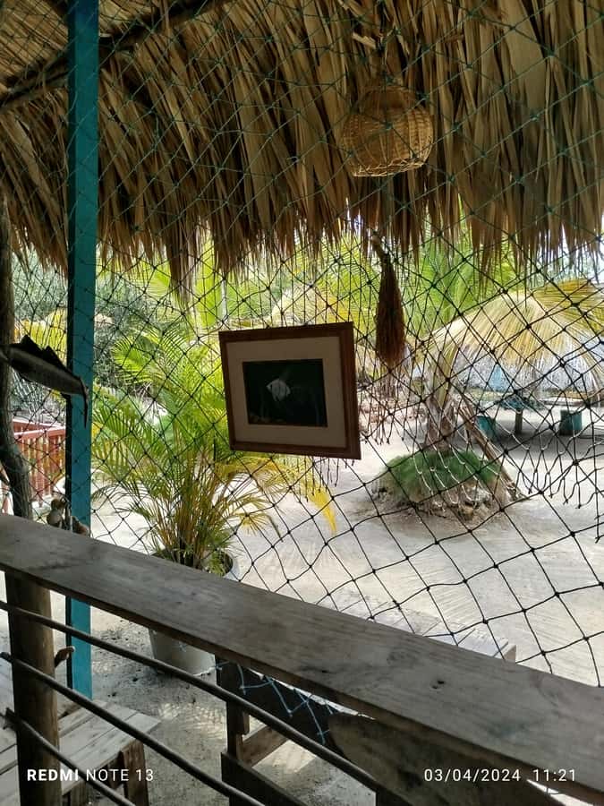 Cartagena: FISHERMEN'S ISLAND IN THE MANGROVES by canoe - The canoe ride: traditional navigation and the first raft transfers