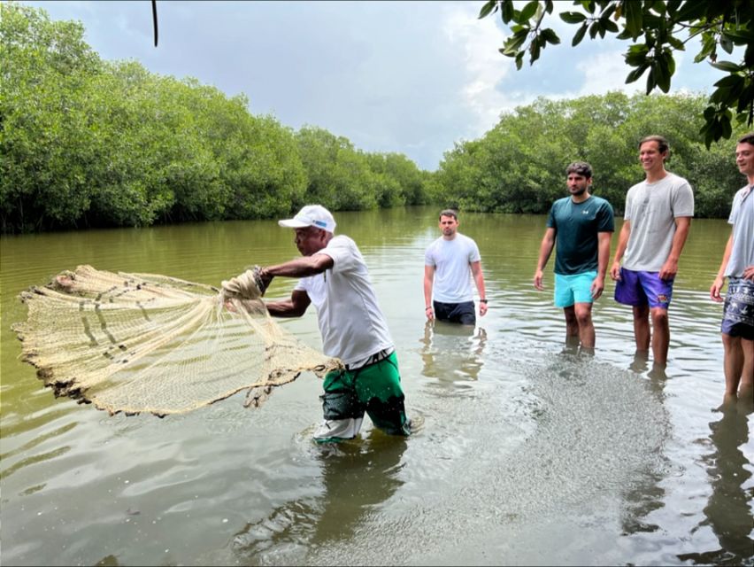 Cartagena Fishing, Crabbing, Birdwatching Experience + Lunch - Birdwatching with 300+ Species, Not a Checklist