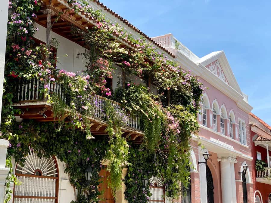 Cartagena: History, Culture & Coffee Experience - Plaza-to-park pacing: where Centenario Park breaks the heat