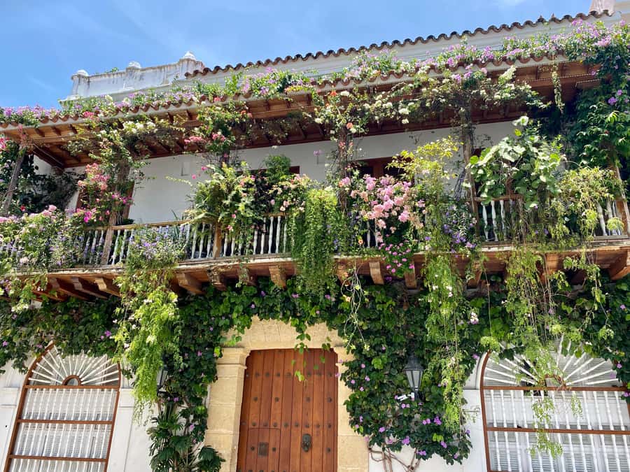 Cartagena: History, Culture & Coffee Experience - Getsemaní on foot: street art, music, and the local Cartagena vibe