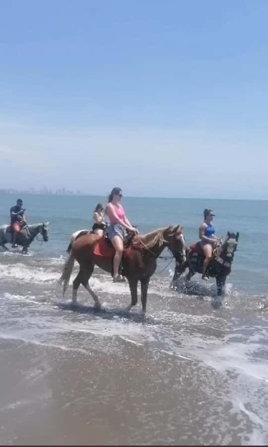 Cartagena: Horse Riding on the Beach with Photos and Lunch - 30 minutes to 1 hour on sand and water, plus photo time