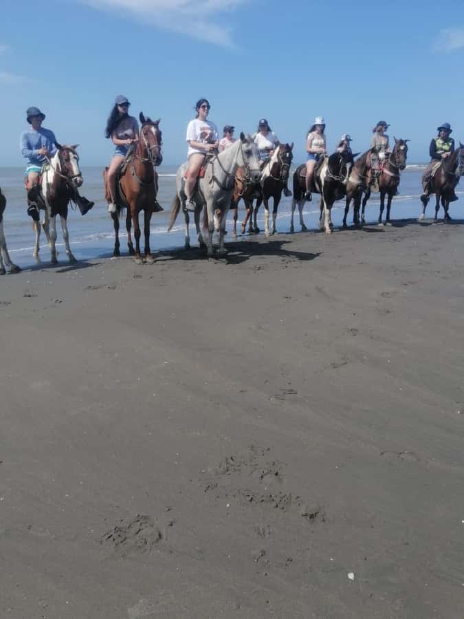 Cartagena: Horse riding on the beaches of Cartagena & PHOTOS - Finding the horses near Sonesta or Portovento