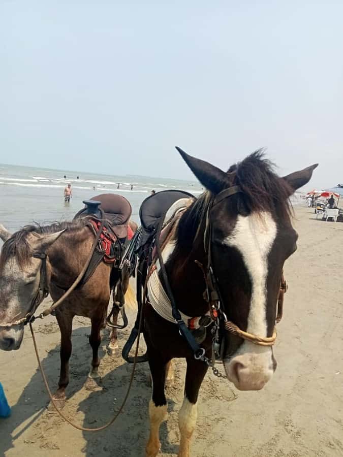 Cartagena: Horse riding on the beaches of Cartagena & PHOTOS - How long should you ride: 30 minutes or up to 2 hours
