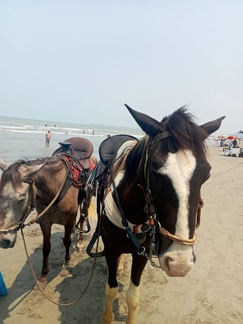 Cartagena: Horse riding on the beaches of Cartagena & PHOTOS - Photos that actually work, and why the location helps