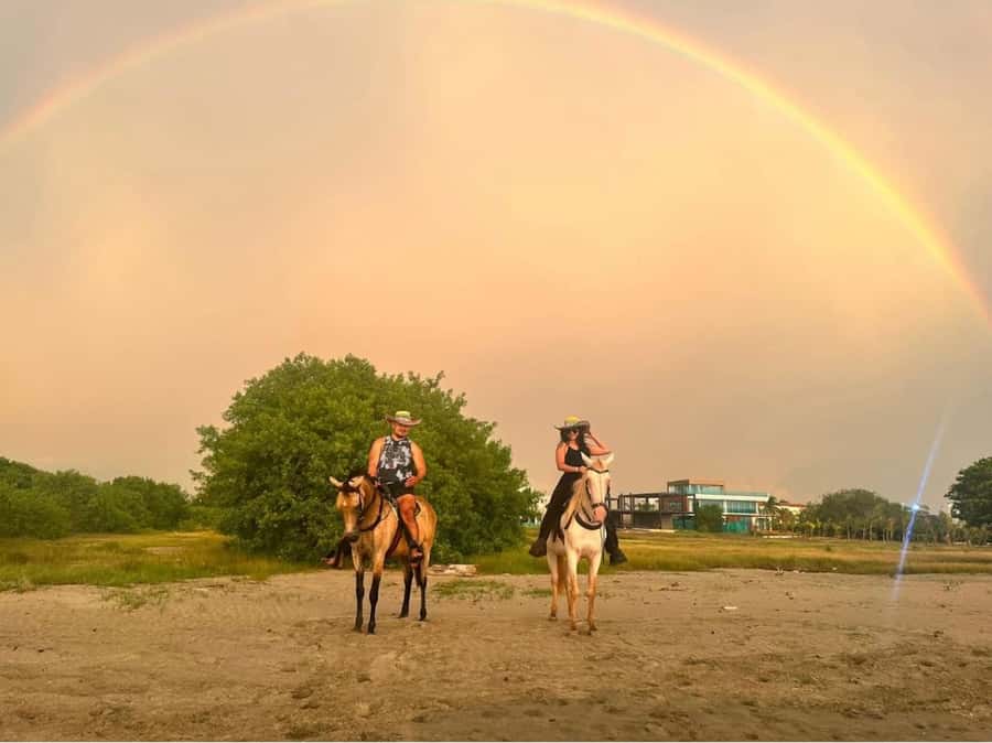 Cartagena: Horseback Ridding Excursion on the Beach - Key points to know before you go