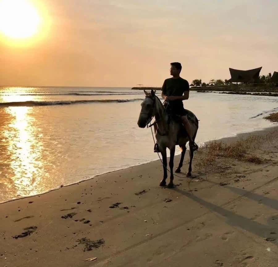 Cartagena: Horseback Ridding Excursion on the Beach - Getting matched with the right horse for your comfort