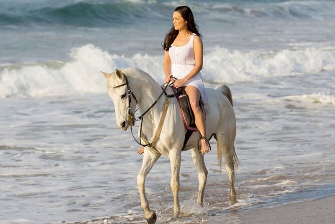 Cartagena: Horseback Riding at the Beach During Day or Sunset - Key Things I’d Plan For Before You Go