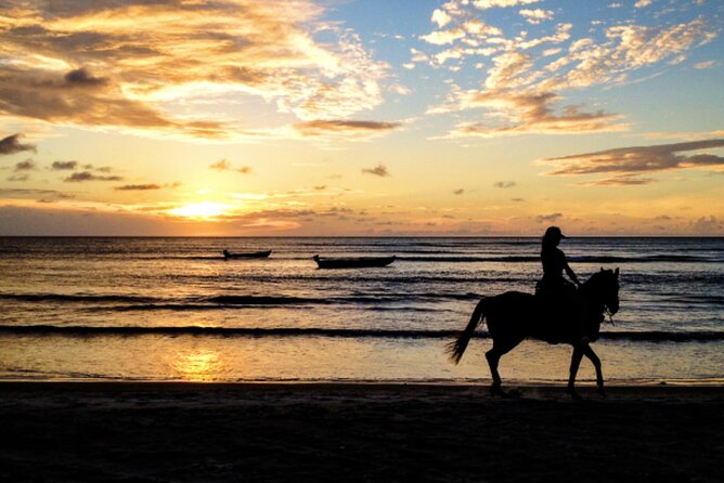 Cartagena: Horseback Riding at the Beach During Day or Sunset - Getting There Like a Pro: The Uber and Meeting-Point Trick