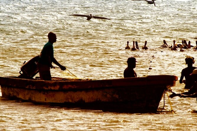 Cartagena: Horseback Riding at the Beach During Day or Sunset - What the Ride Actually Feels Like: La Boquilla to the Seaside End