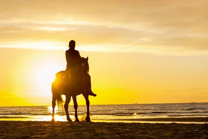 Cartagena: Horseback Riding at the Beach During Day or Sunset - Day Ride vs Sunset Ride: Pick the Mood That Fits You