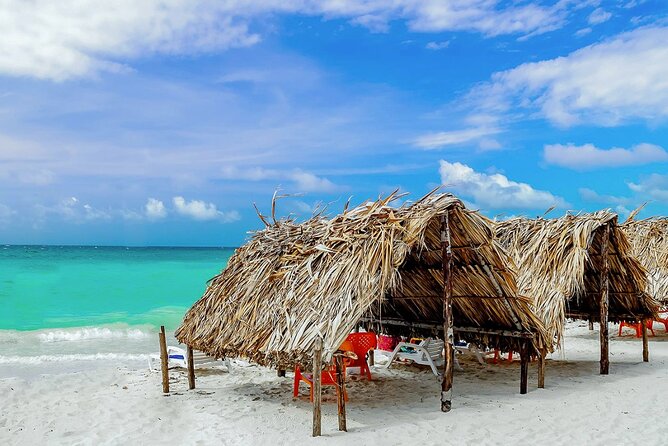 Cartagena: Horseback Riding at the Beach During Day or Sunset - Logistics That Can Make or Break Your Morning