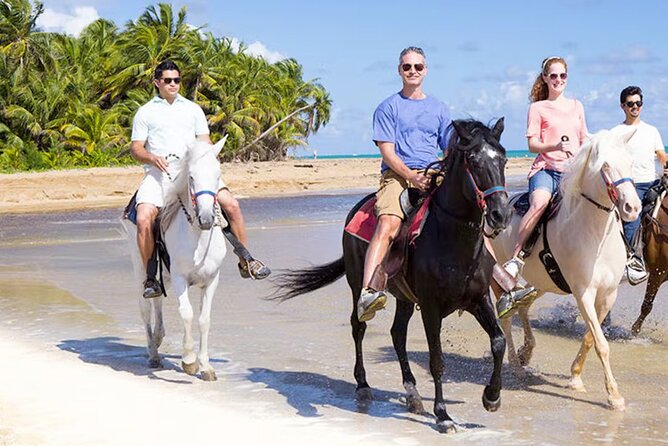 Cartagena: Horseback Riding at the Beach During Day or Sunset - Your Horses and the Riding Style: Easy Control, Real Comfort