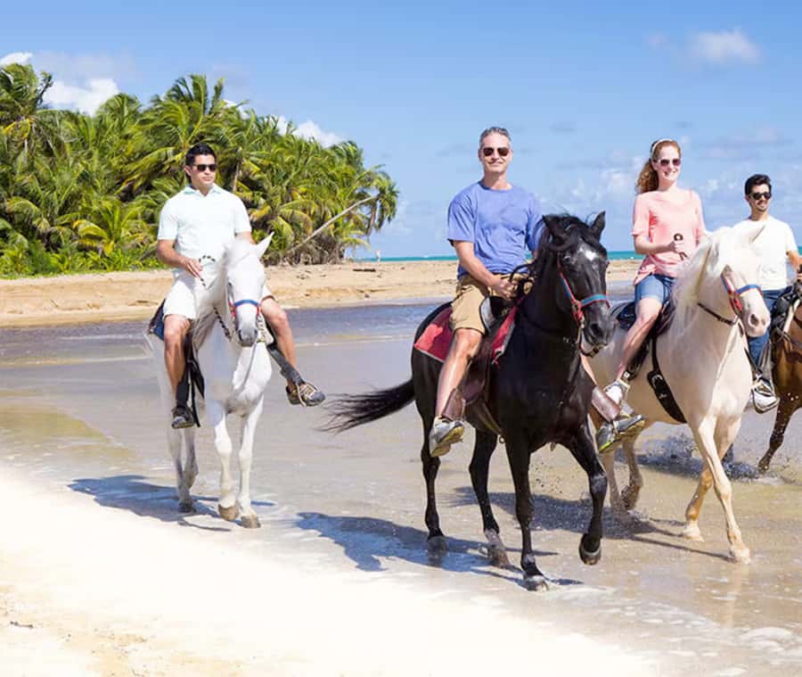 Cartagena: Horseback Riding on the Beach at Sunset - Key highlights to know before you go