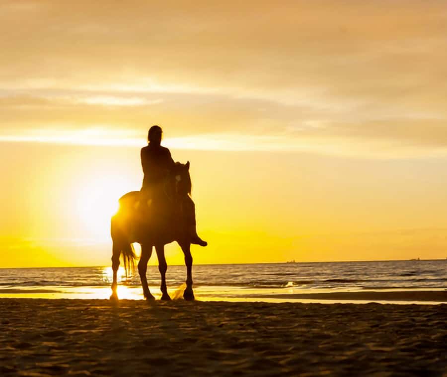 Cartagena: Horseback Riding on the Beach at Sunset - Cartagena’s coastal horseback ride, minus the tourist script