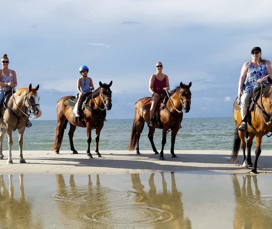 Cartagena: Horseback Riding on the Beach at Sunset - Stop 2, La Boquilla: sand, shallow water, mangroves, and real coastal life