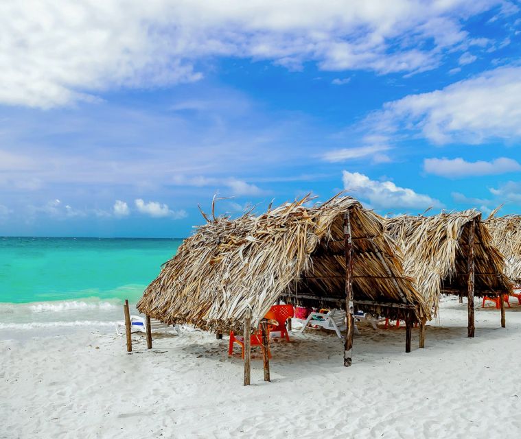 Cartagena: Horseback Riding on the Beach at Sunset - Lunch on board: a full Caribbean meal that makes the value make sense