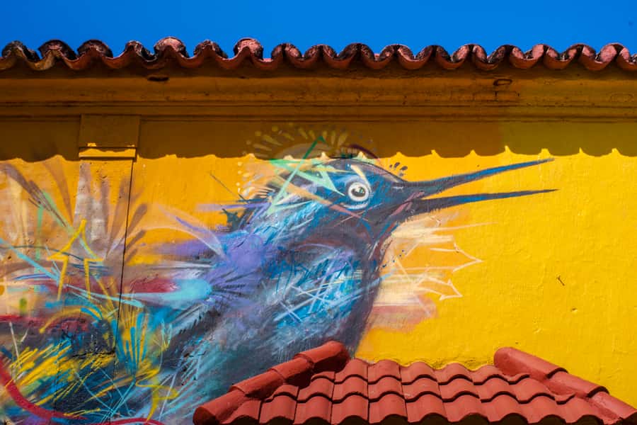 Cartagena Instagram Mobile Workshop: Scenic and Trendy Shots - Key things to know before you go