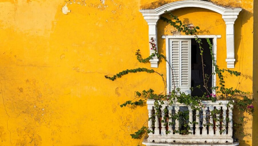 Cartagena Instagram Mobile Workshop: Scenic and Trendy Shots - Language, Group Size, and the Pace You Should Expect