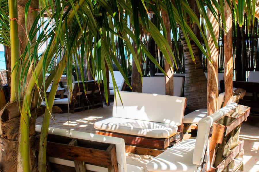 Cartagena: Isla Baru Beach Club at Playa Blanca - Photos, Views, and the Return Ride Back to Cartagena