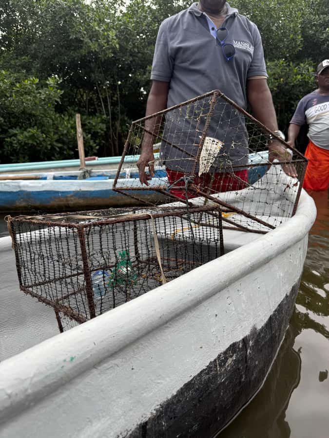 Cartagena: Mangrove Eco Tour & Fishing with Transportation - Duration and value: why $55 can feel like a fair trade