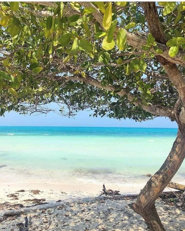 cartagena: Mucura and Santa Cruz Islands Tour spectacular - Múcura Island: the private island feel, lunch choice, and swim time