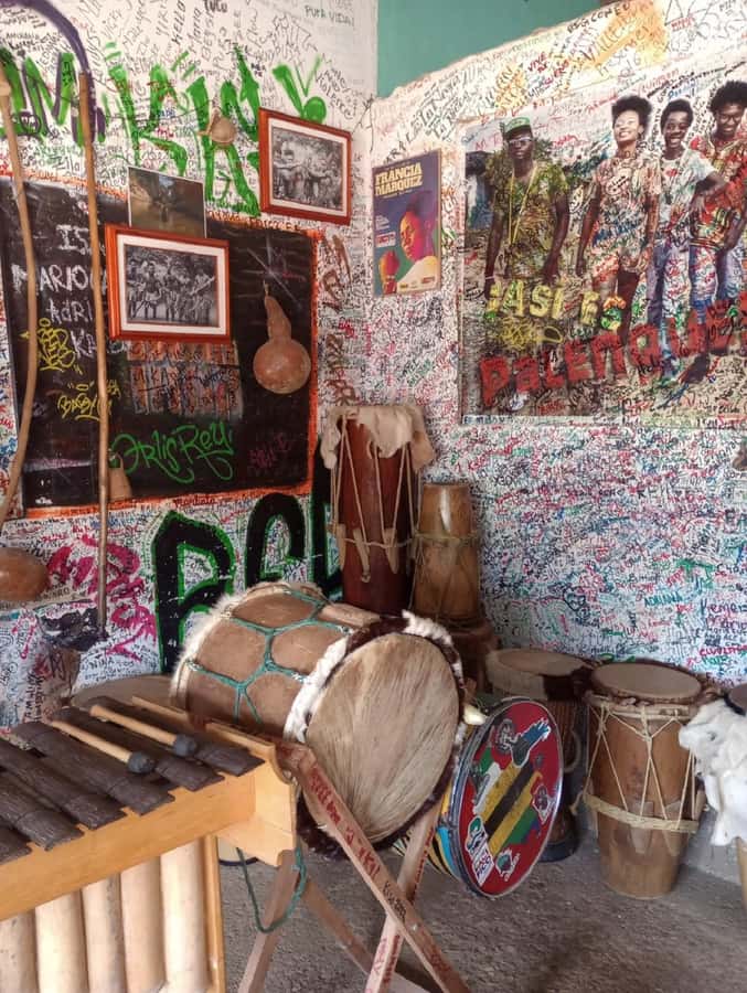 Cartagena: PALENQUE Tour AFRICAN TRADITIONS with Lunch - Lunch and Ñeque: the most satisfying part of the schedule