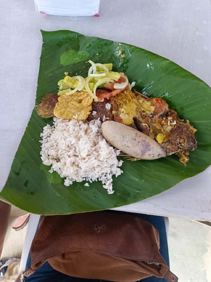 Cartagena: PALENQUE Tour AFRICAN TRADITIONS with Lunch - Getting from Cartagena to Palenque with included transport