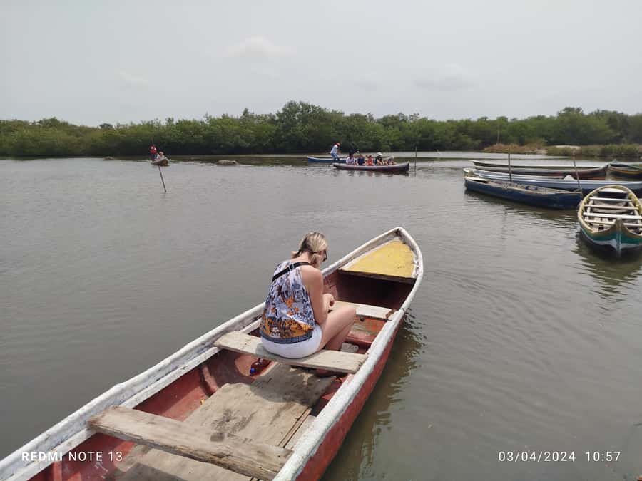 Cartagena: Private Sail in the mangrove GUIDE in ENGLISH - Entering three mangrove tunnels in the Pantano de la Virgen