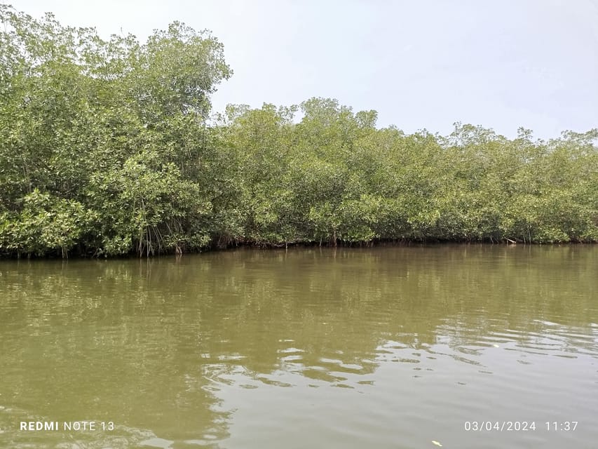 Cartagena: Private Sail in the mangrove GUIDE in ENGLISH - Pickup, drop-off, and the part people should not ignore