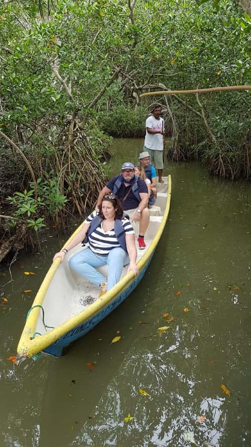 Cartagena: Private Sail in the mangrove GUIDE in ENGLISH - Price and value: $25 per person plus possible transport extras