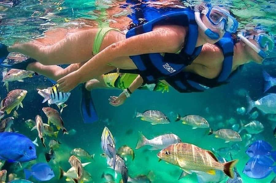 Cartagena: Raccoon Island Snorkel, Mangrove, Photos & Lunch - Key points to know before you go