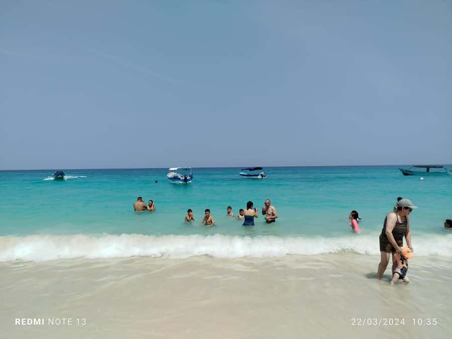 Cartagena: Raccoon Island Snorkel, Mangrove, Photos & Lunch - Price and Logistics for a 7-Hour Cartagena Day