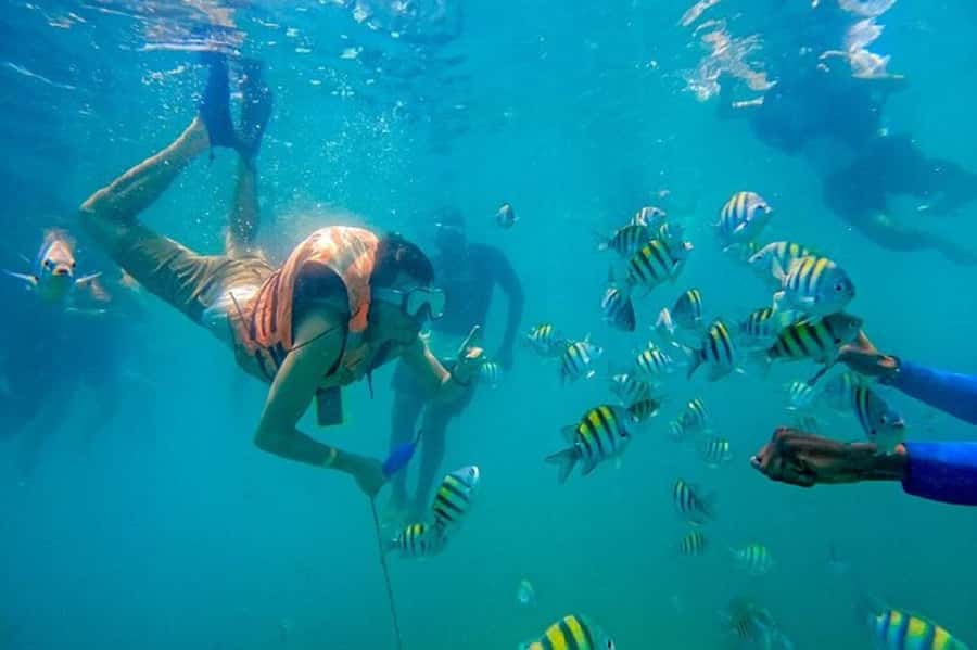 Cartagena: Raccoon Island Snorkel, Mangrove, Photos & Lunch - Mangroves and Wildlife: Why This Tour Is More Than a Beach Stop