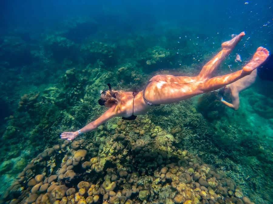 Cartagena: Rosario Islands Day Tour with Snorkel & Lunch - Todomar CHL Marina Bocagrande: beat the early-day hassle