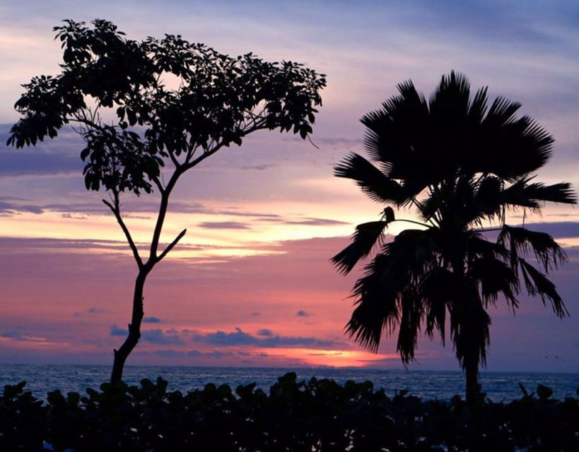 Cartagena: Rosario Islands Private Boat Tour - Who this tour suits best