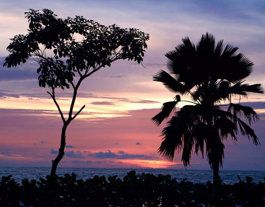 Cartagena: Rosario Islands Private Boat Tour - What to pack so you actually enjoy the full 8 hours