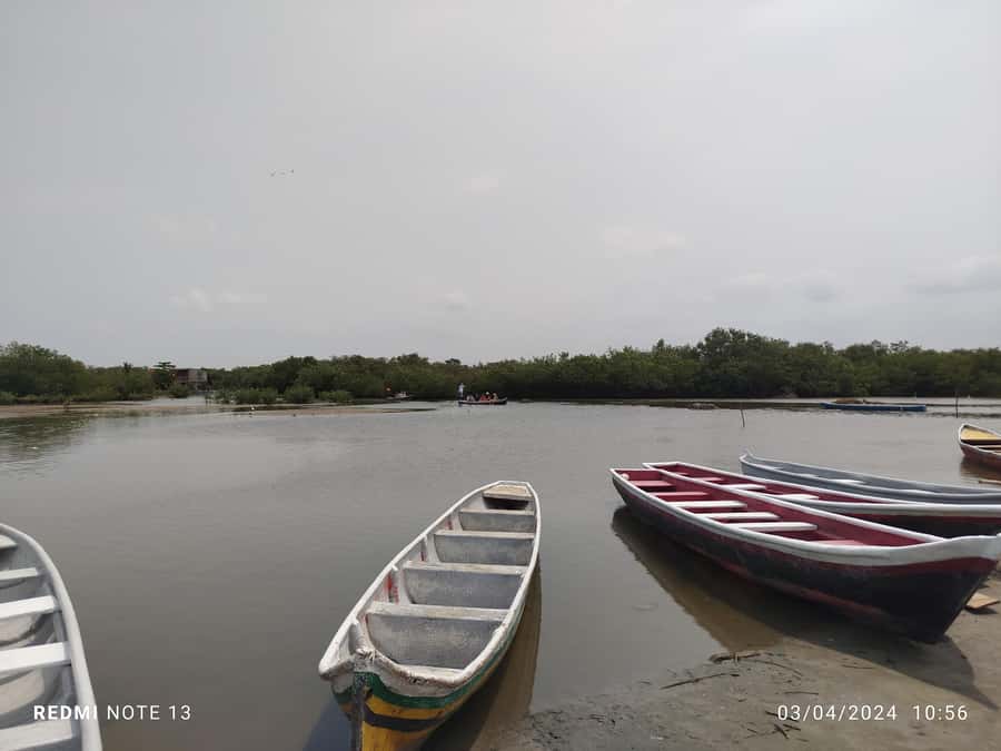 Cartagena: Sail in the mangroves of Cartagena - The humans side: contact with residents and local work