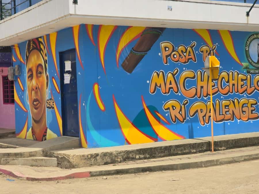Cartagena: San Basilio de Palenque Guided Day Trip - Local medicine and natural remedies: a different kind of lesson