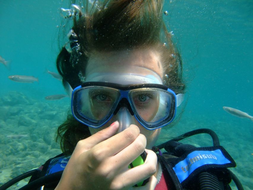 Cartagena: Scuba Diving Day Trip at Playa Blanca with Lunch - Price and value: what $120 buys you (and what it doesn’t)