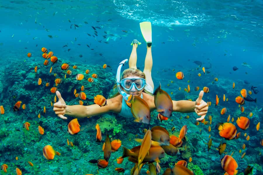Cartagena: Snorkel, Mangroves and Playa Blanca Tour - Key takeaways before you go